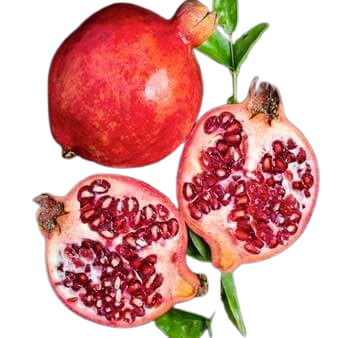 Pomegranet Extract